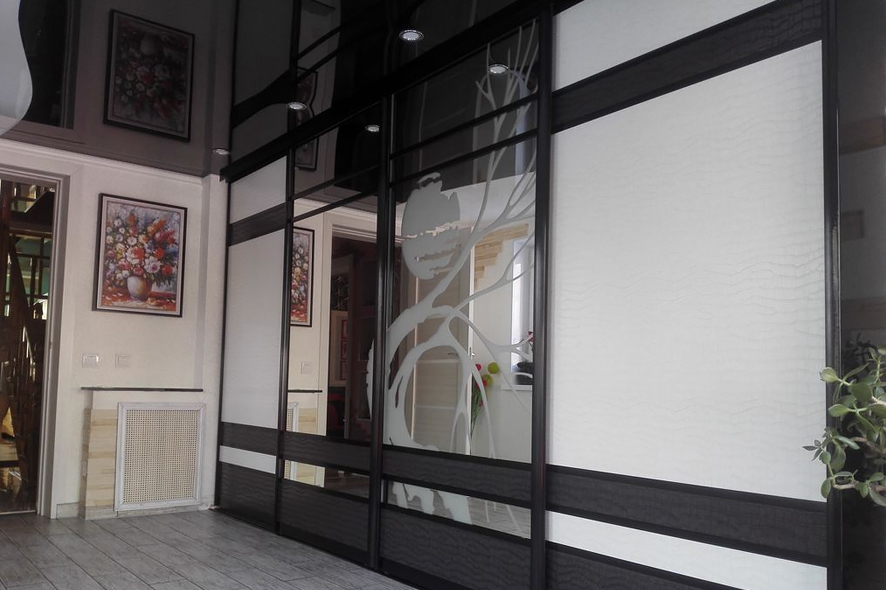 Купить Шкаф-купе с комбинированными дверями и рисунком под заказ, цена от 1628 руб., в рассрочку. Шкафы-купе в Гомеле и Речице.